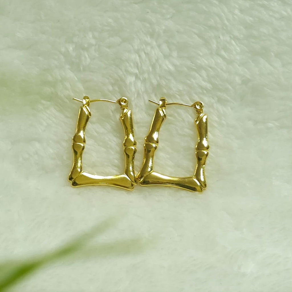 Hoop Earring #DGN04
