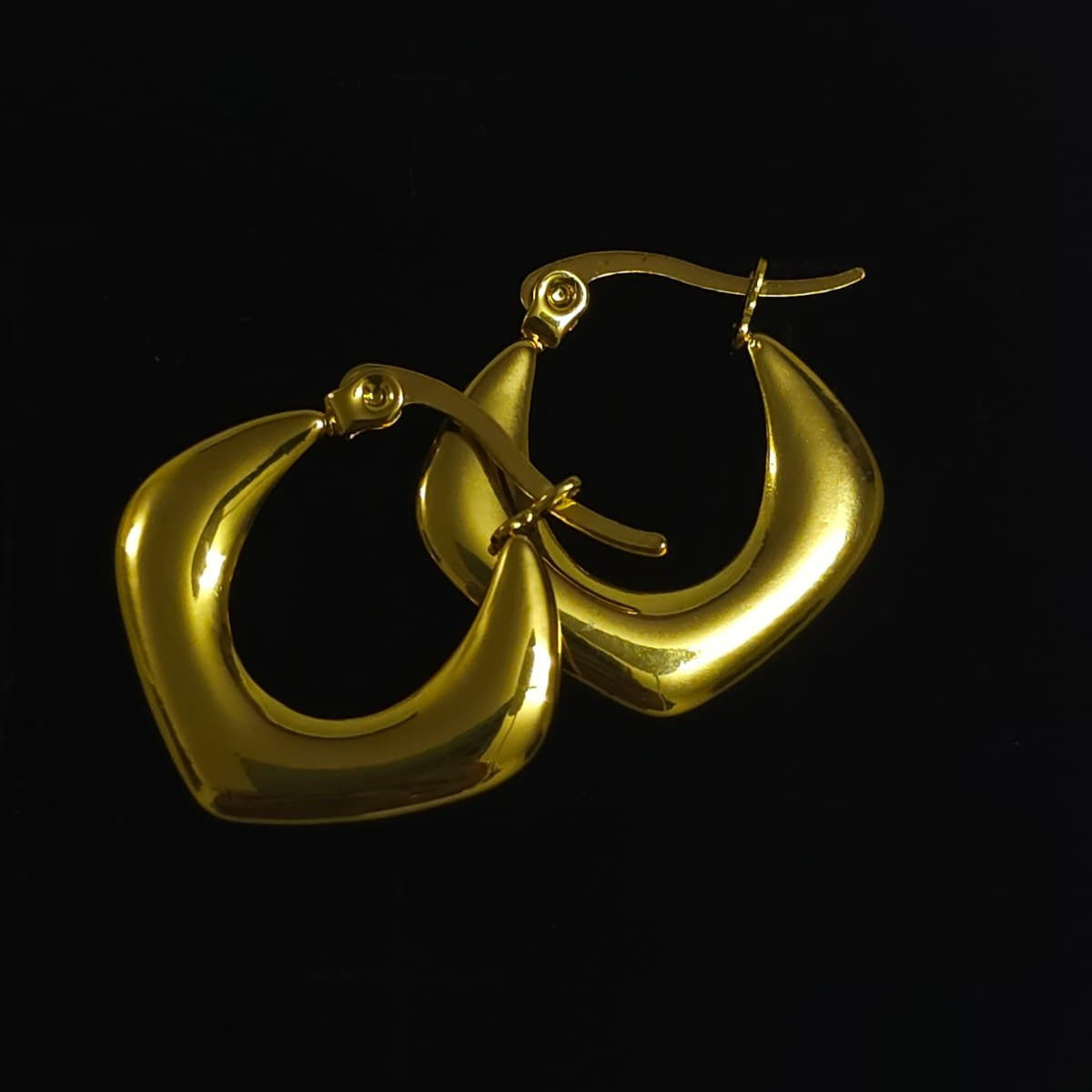Hoop Earring #DGN03
