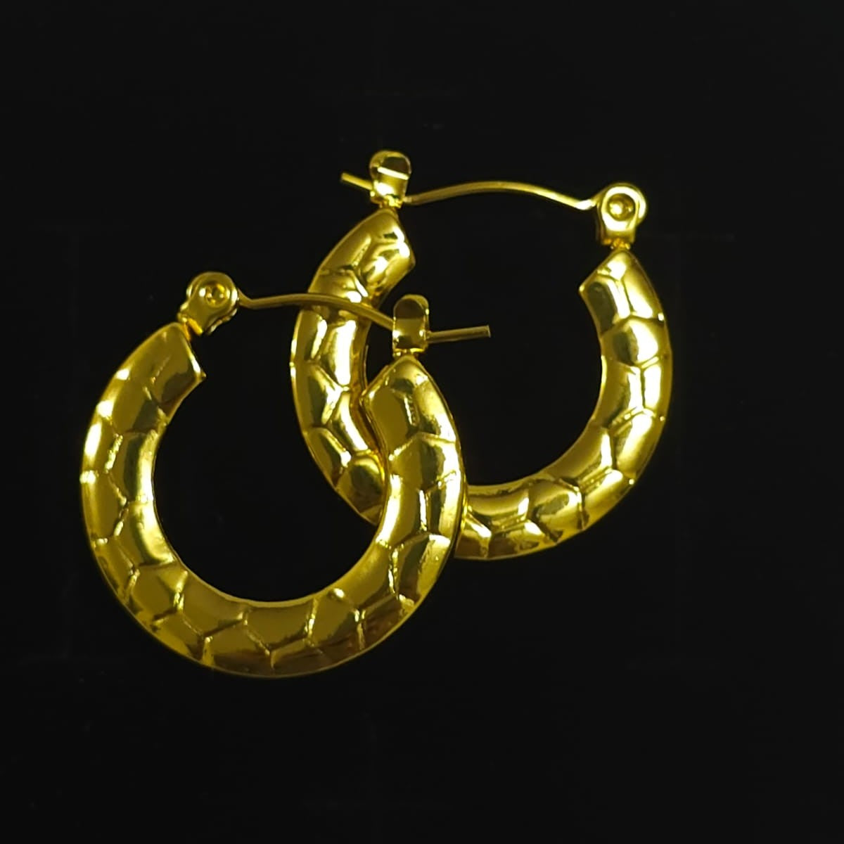 Hoop Earring #DGN01
