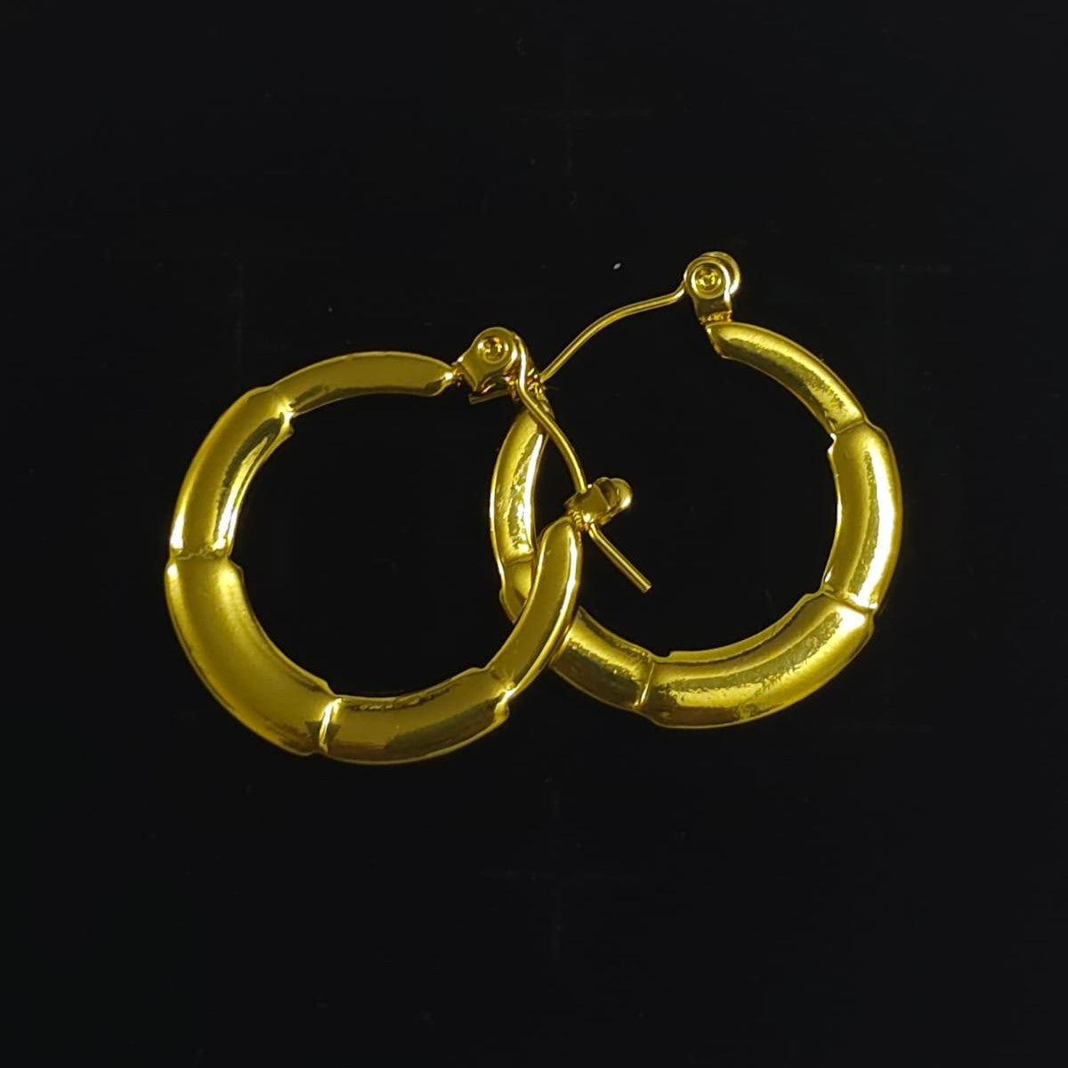 Hoop Earring #DGN02